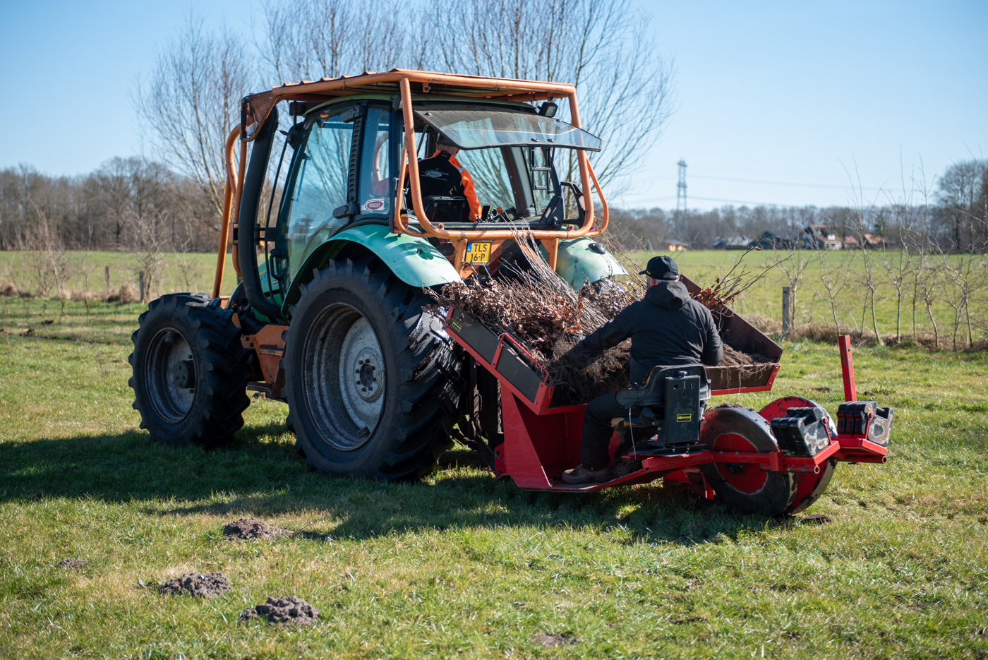 Jonge bomen worden aangeplant met een speciale machine.  